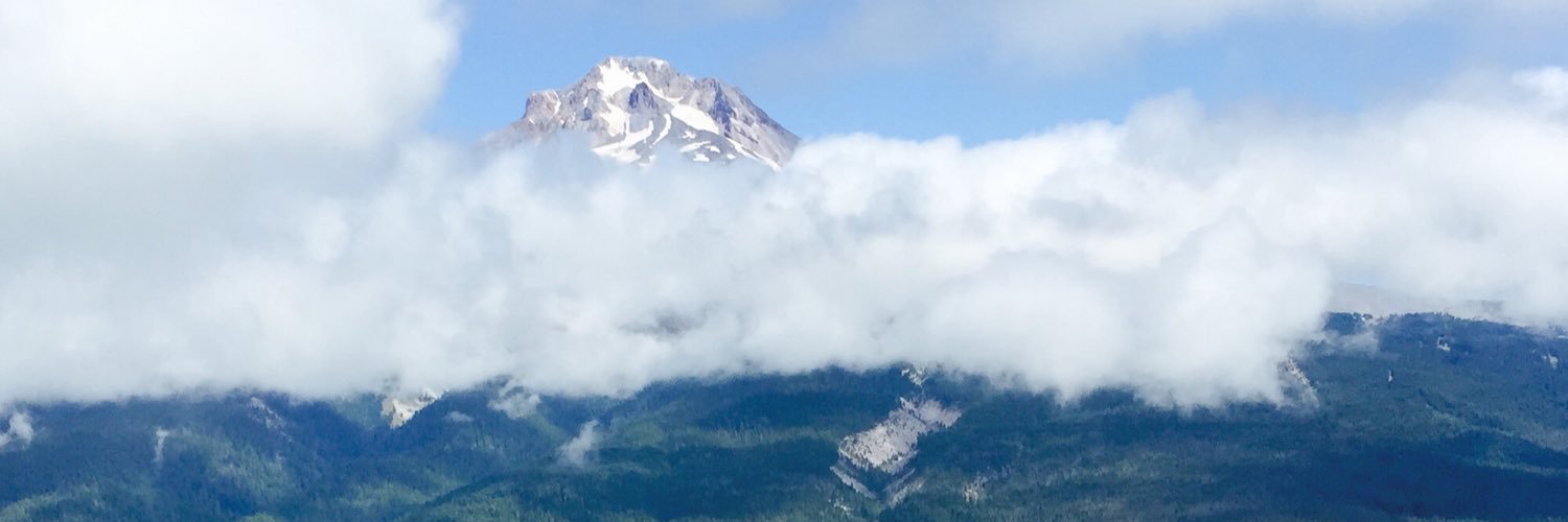 Prttysmrtlady's profile banner image