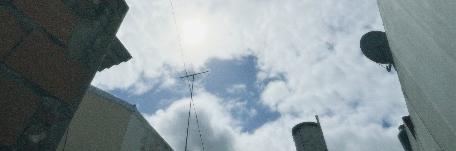 florrpirp's profile banner image