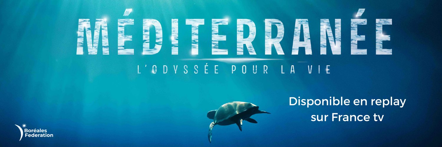 Boréales banner
