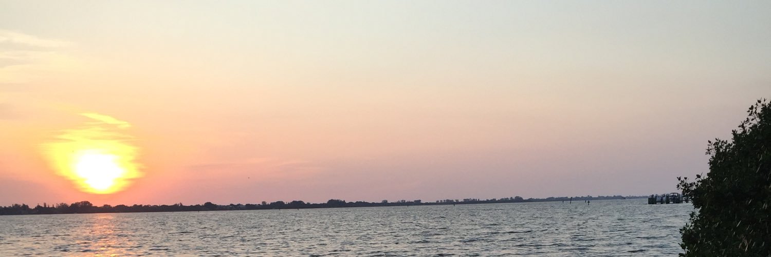 adriennemdavid's profile banner image