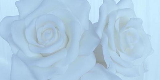 ImmaculateConfection banner