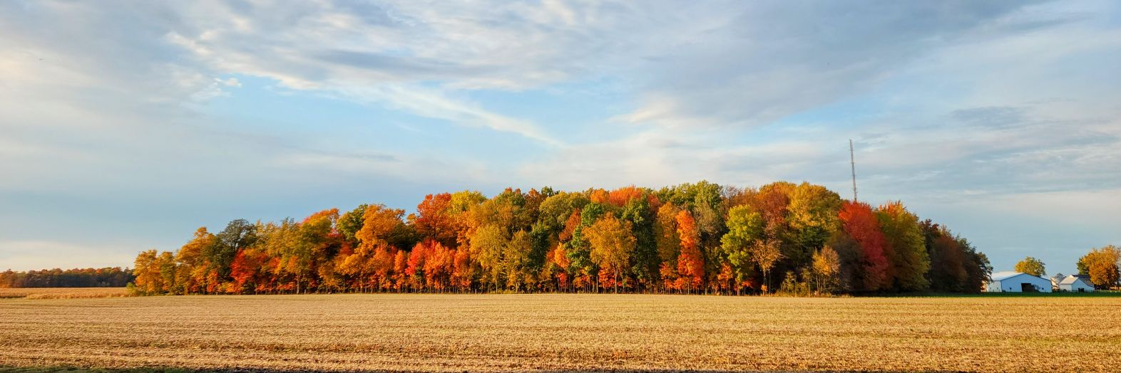 Aaron D. Montz banner