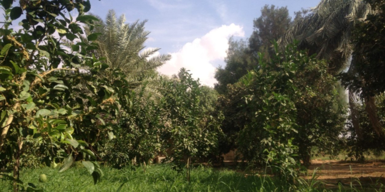 عبدالله الخثلان banner