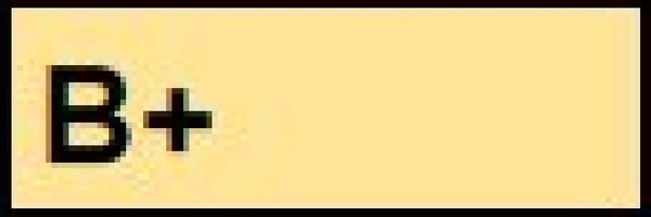 Pivotless Profile Banner
