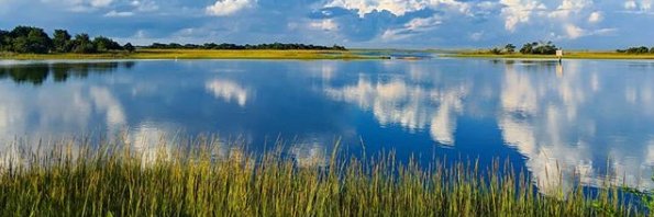 NCCoastalFed's profile banner image