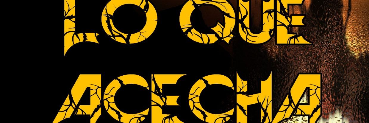 loqueacecha's profile banner image