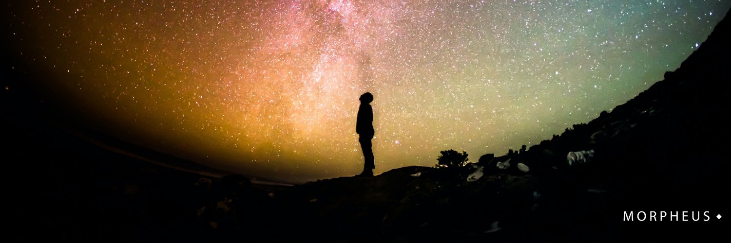 Morpheus Ventures banner