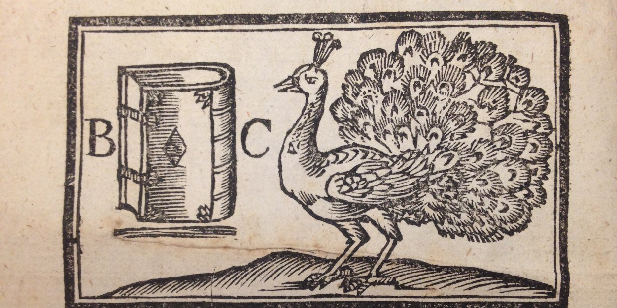 Alice McGrath banner