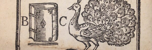 AliceTMcGrath Profile Banner