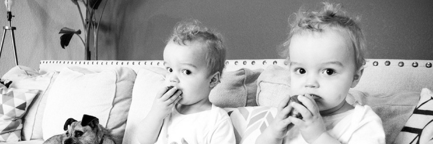 Twin Pickle banner