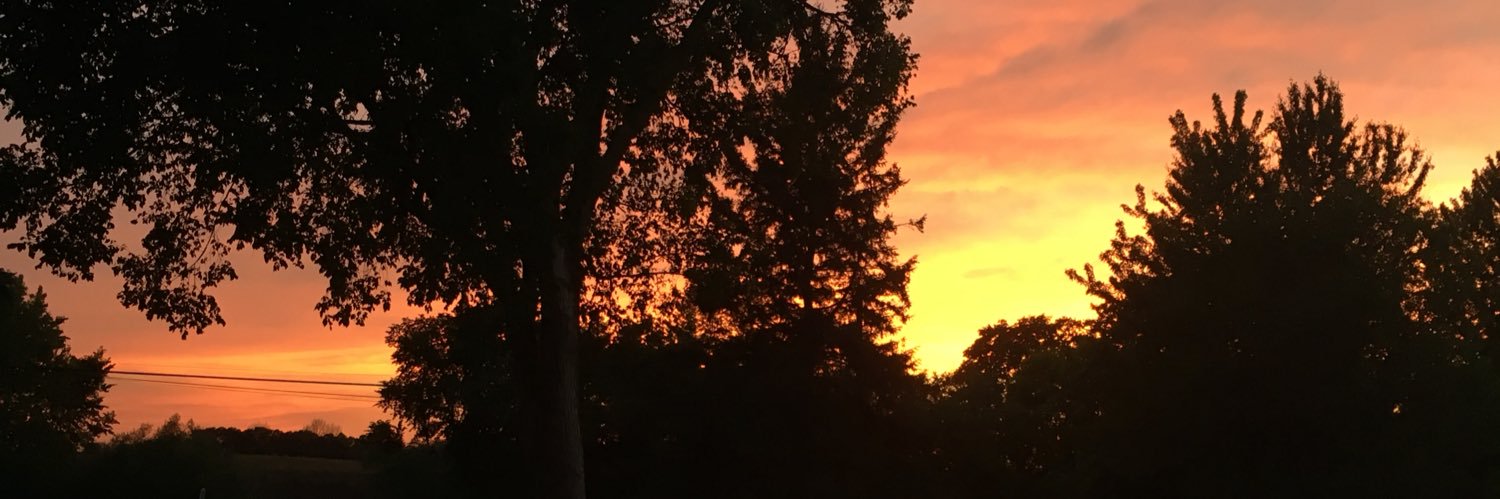 BrookeNovotny's profile banner image