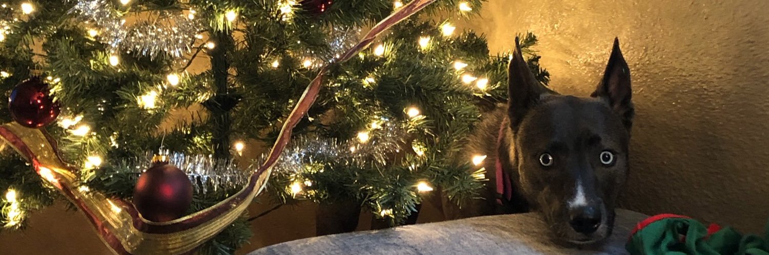 KadeBrock's profile banner image