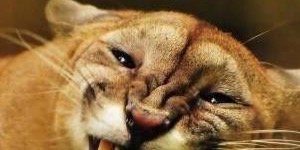 hecsanx10's profile banner image