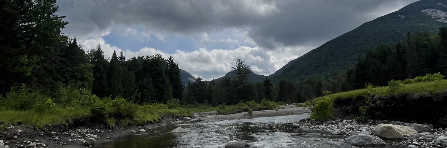 nice_old_tree's profile banner image