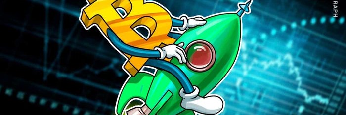 Bit_Ledger11's profile banner image