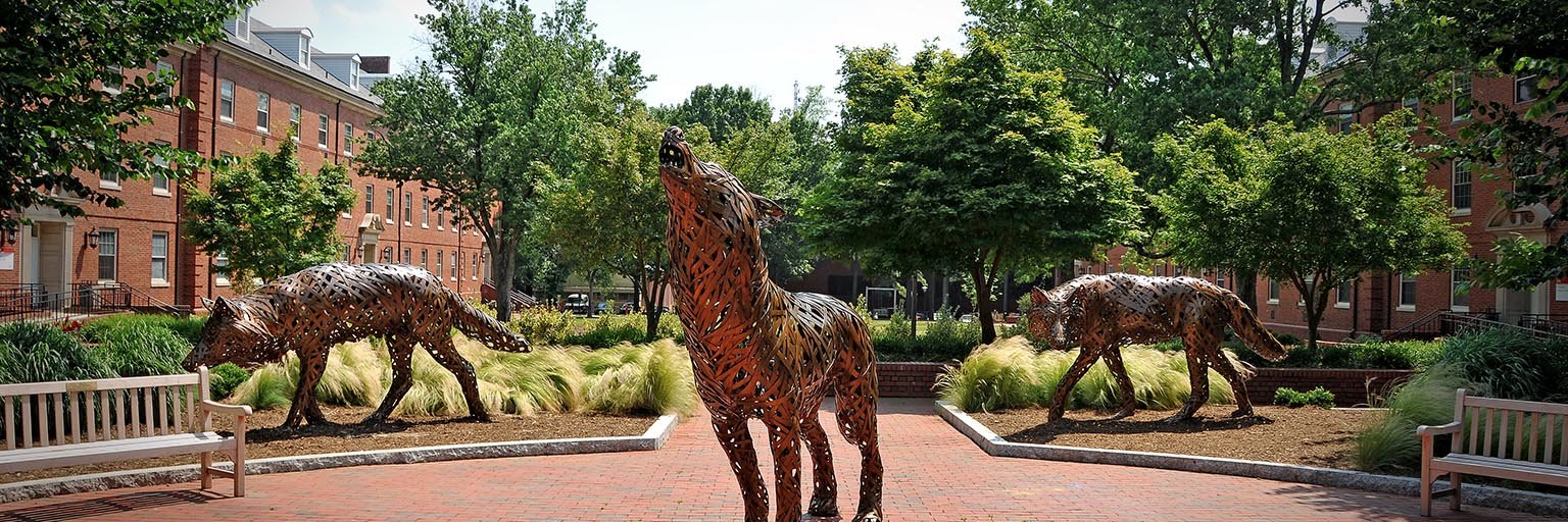 Teen Health Lab banner