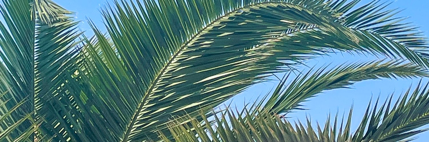 sunshinrg's profile banner image
