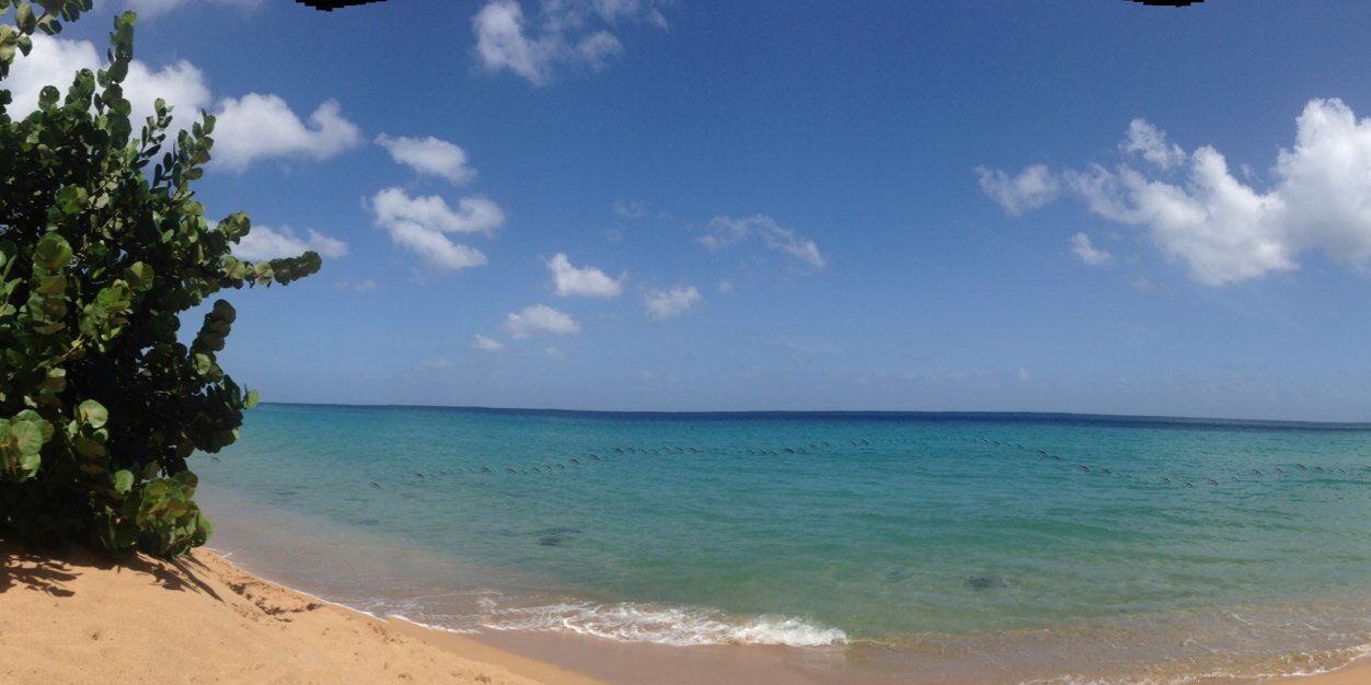 jerent daniel banner