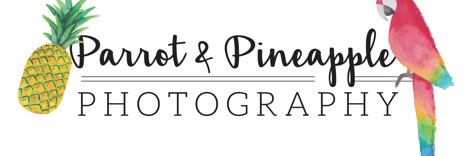Parrot & Pineapple banner