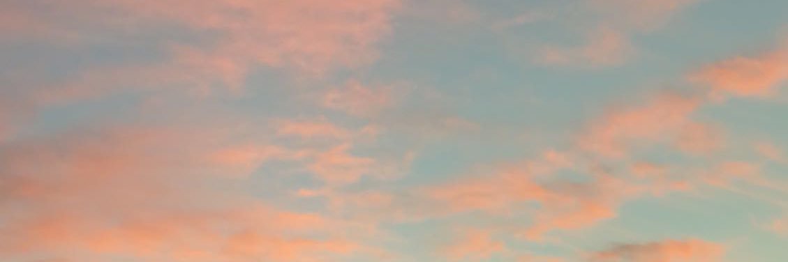 steshconner's profile banner image