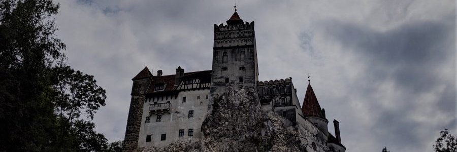 maybeicould's profile banner image