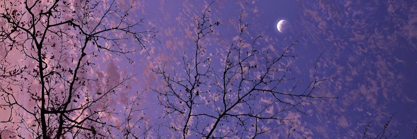 ether_and_ever's profile banner image