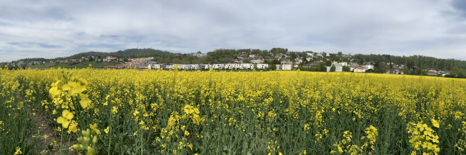wettswil's profile banner image