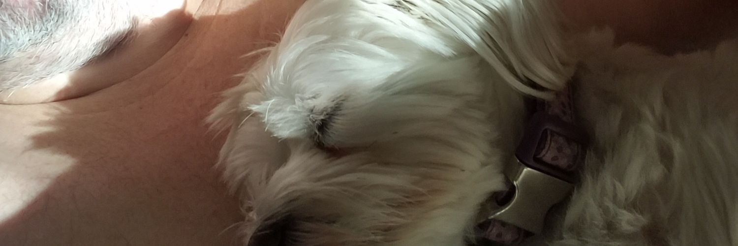dannyloubier's profile banner image