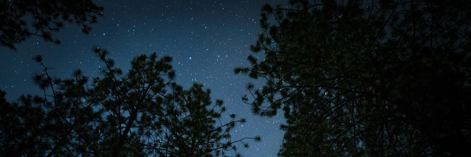 stream_pdx's profile banner image