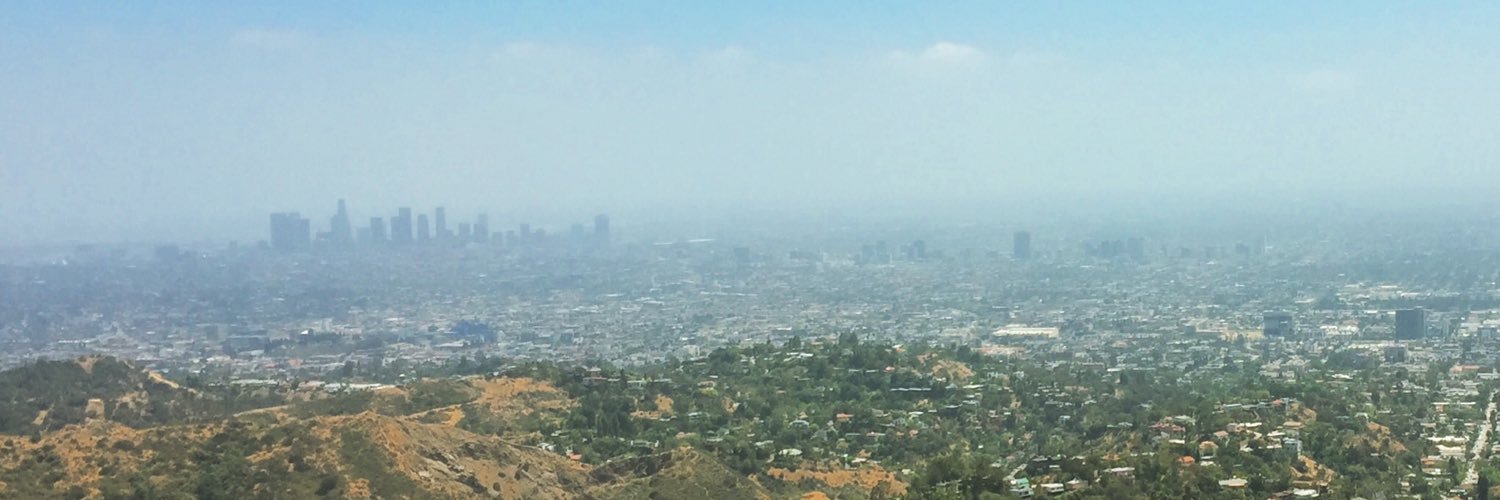 R-Ladies LA 🌴 banner