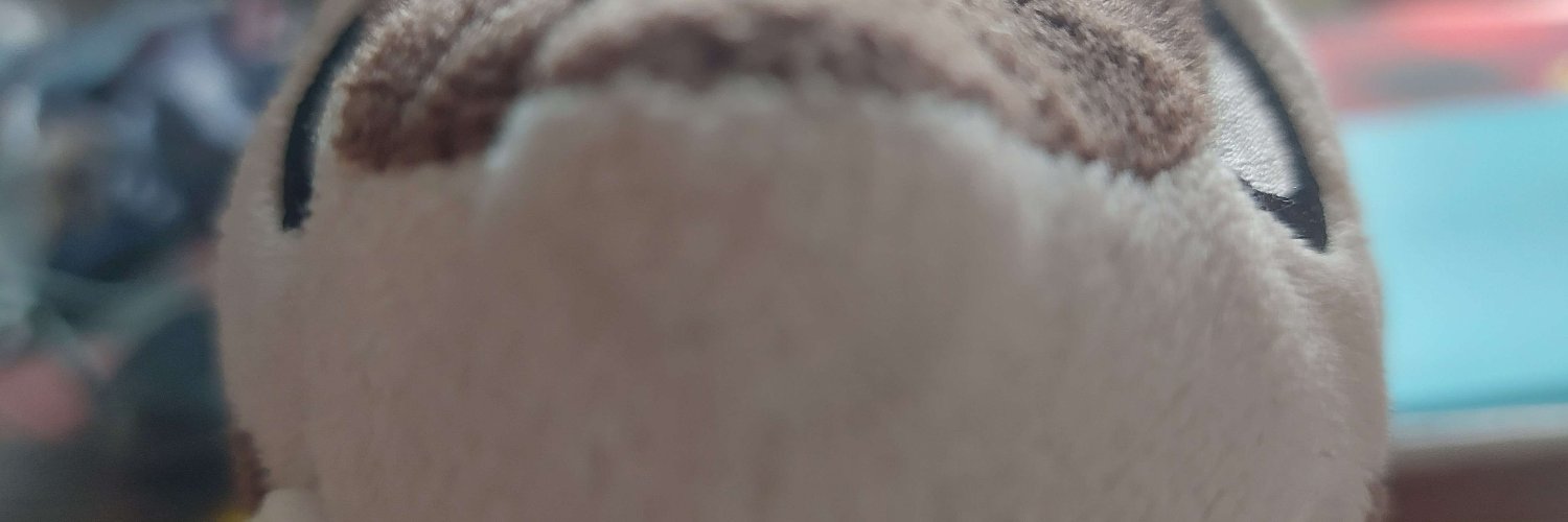 🏳️‍🌈solu.bsky.social🏳️‍🌈's banner