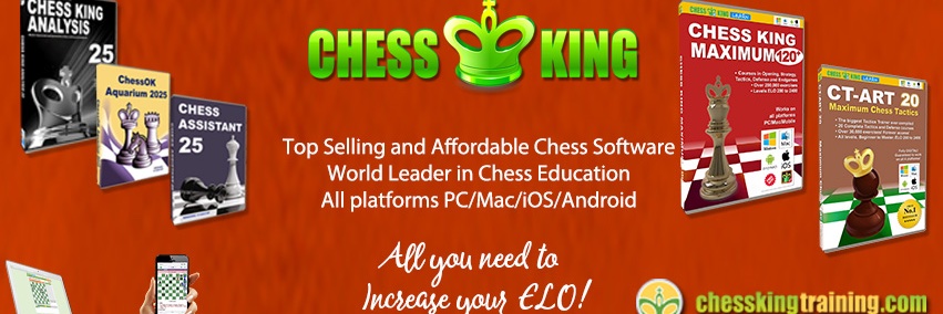 Chess King banner