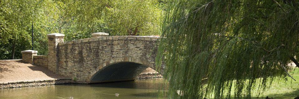 Elfred Anthony banner