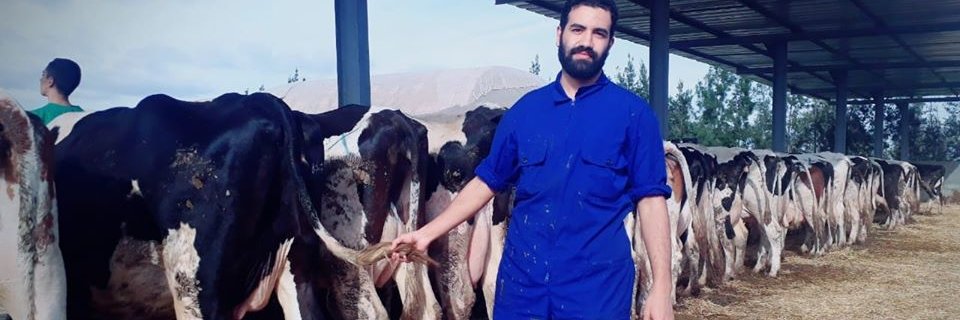 chihab_amine's profile banner image
