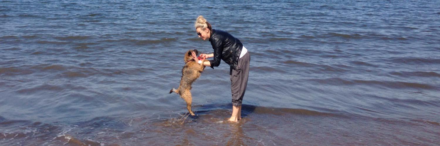 David Chisholm banner