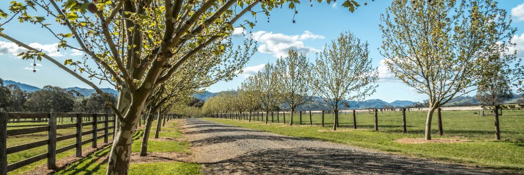Berkeley Park Stud banner