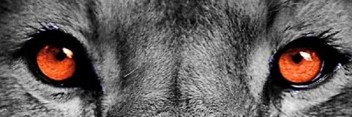 BlueCollarBG's profile banner image