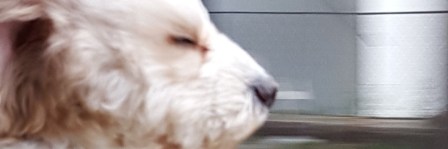 7rodasAaron's profile banner image