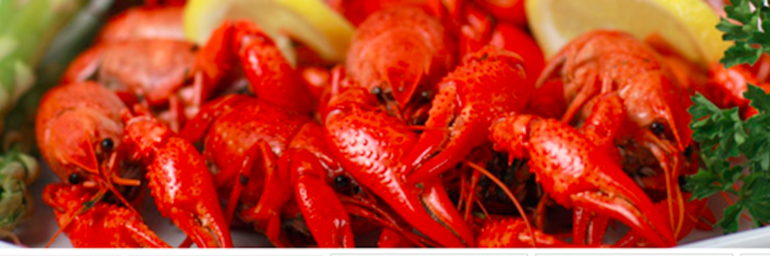 CajunBarbecue's profile banner image