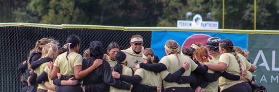 Ferrum Softball banner