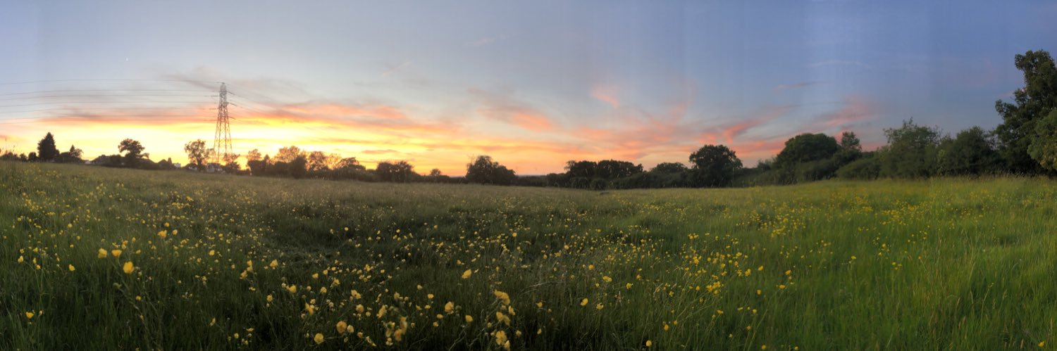 YogaLisam's profile banner image