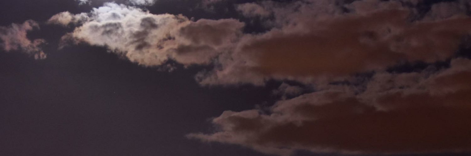 17Reginaa's profile banner image