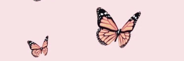 deejrenee's profile banner image