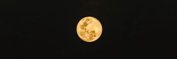 Melijalli's profile banner image