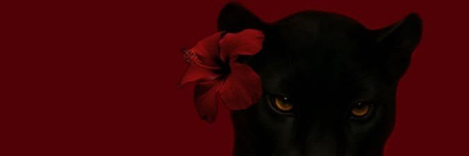rexklezar's profile banner image