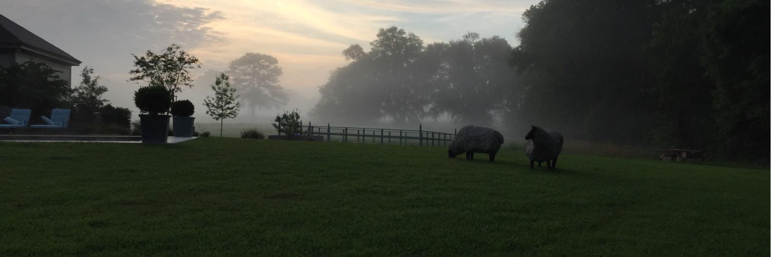 Meredith ORourke banner