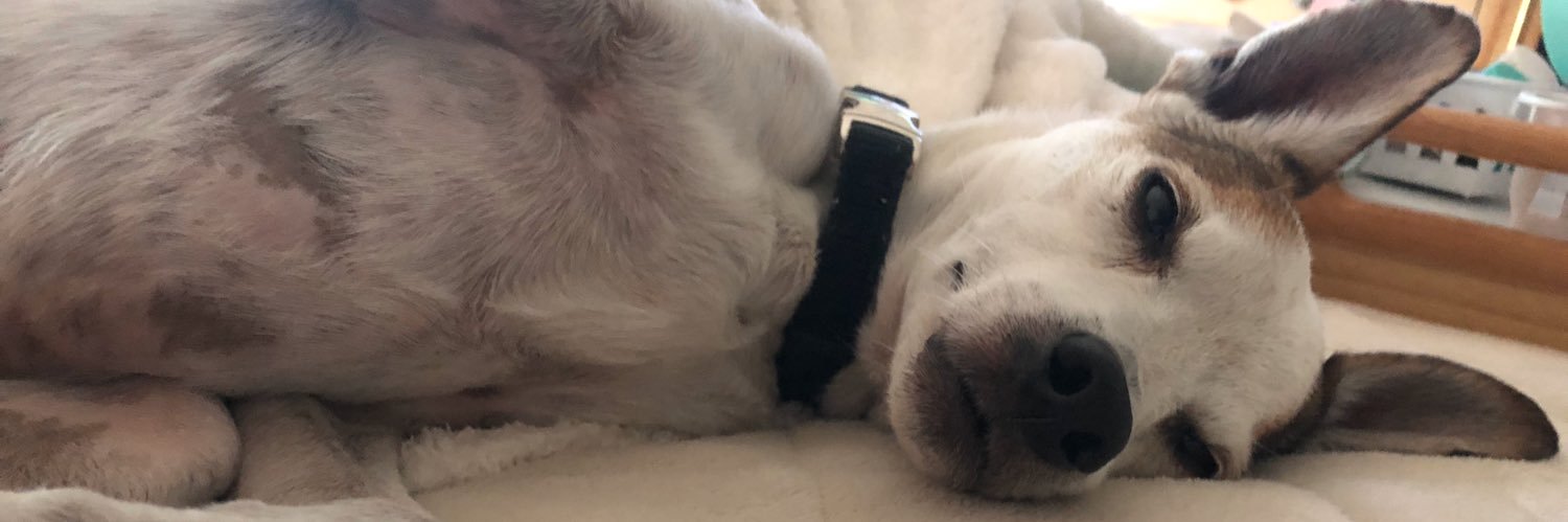 Brigitte🎵🎶❤🎶 banner