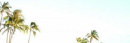 LauraBrux's profile banner image
