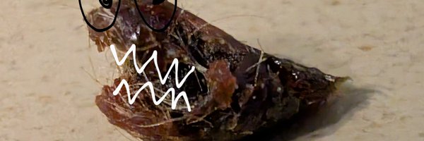 TheChrisStreet Profile Banner