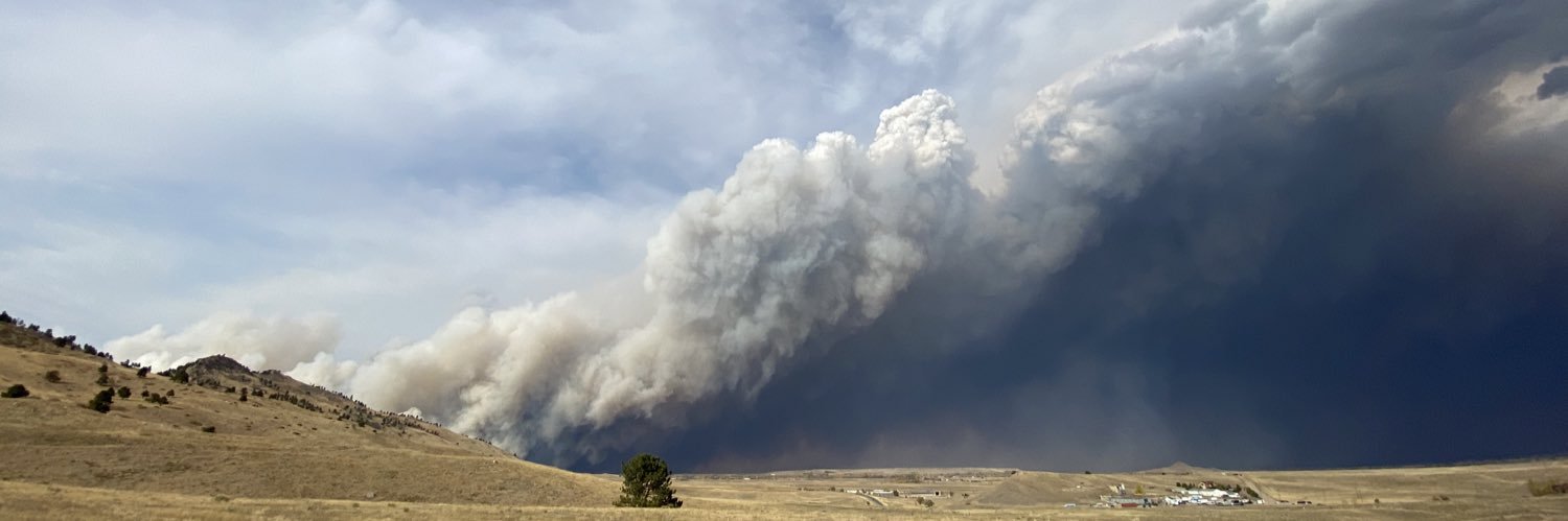 Mile High Scanner banner